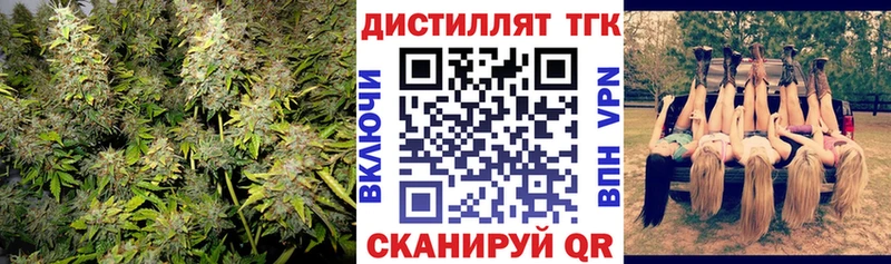 Дистиллят ТГК концентрат  Гурьевск 