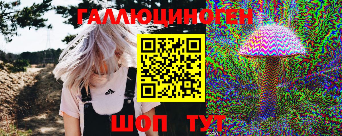 Псилоцибиновые грибы Cubensis  Псилоцибиновые грибы мицелий  Вход с VPN  Гурьевск 